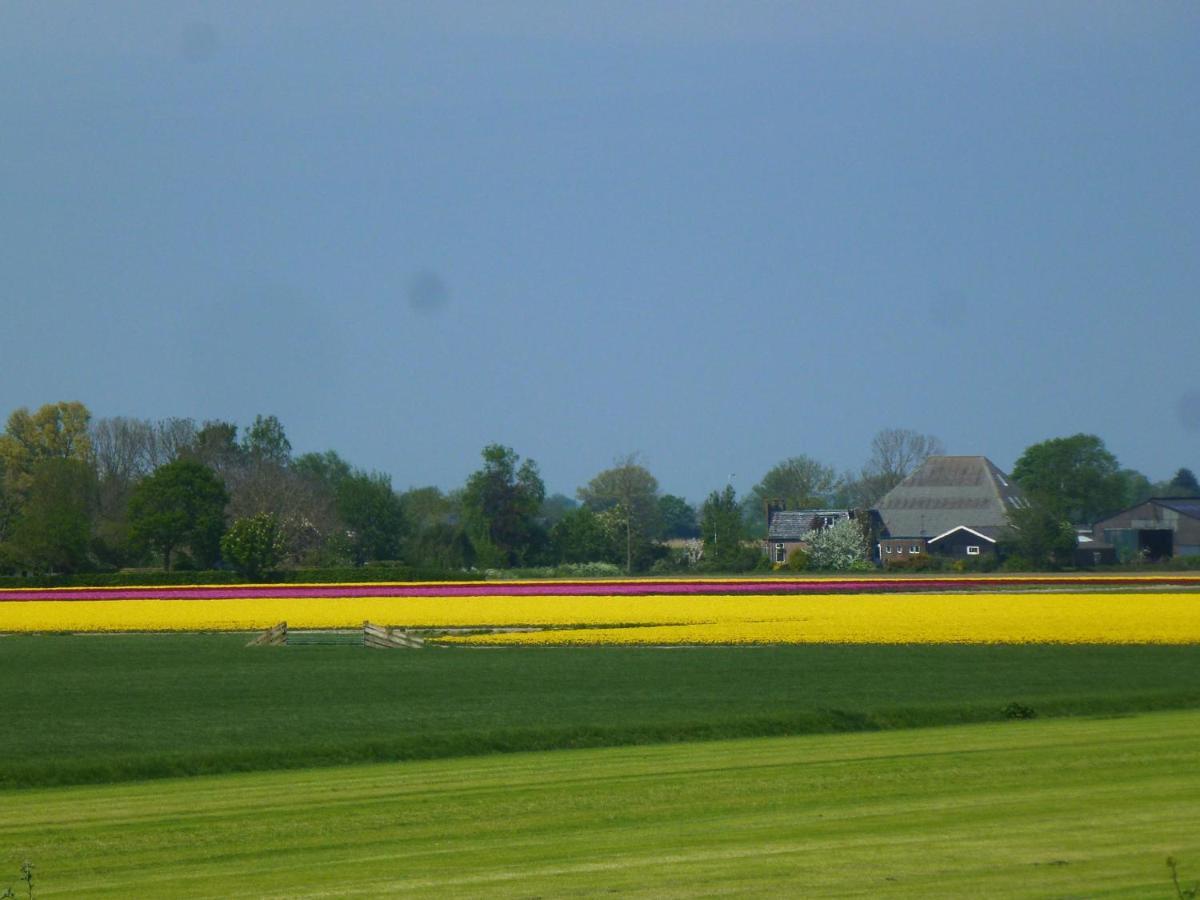 Het Burgemeestershuis Barsingerhorn Exteriör bild